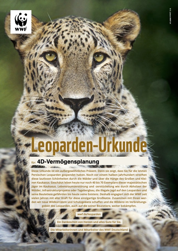 4D-Vermögensplanung spendet für die Rettung der Leoparden