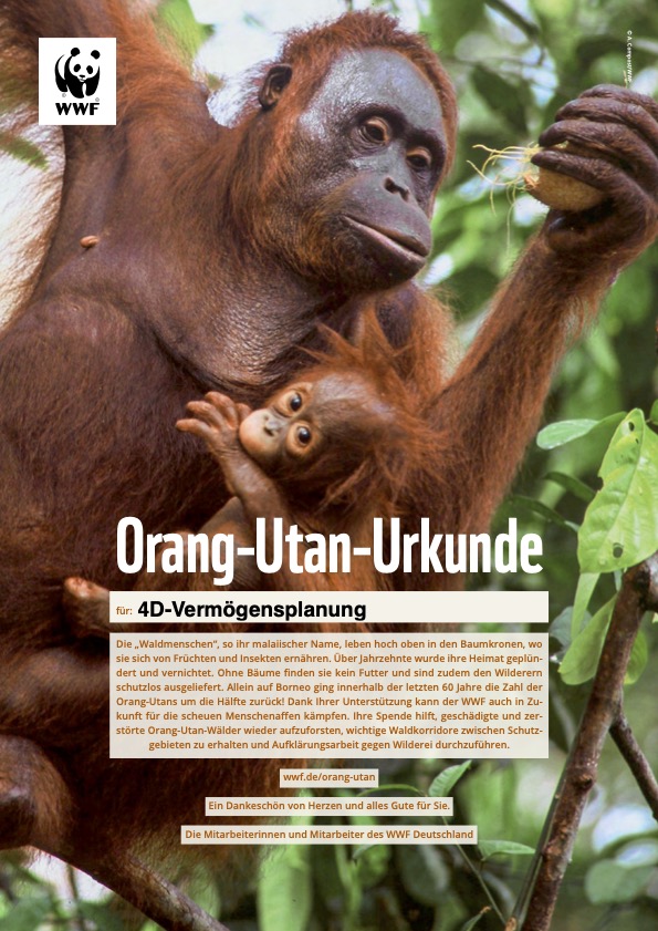 4D-Vermögensplanung spendet für OrangUtans